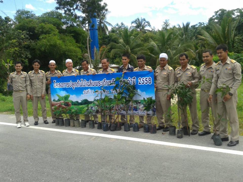 โครงการปลูกต้นไม้เฉลิมพระเกียรติ