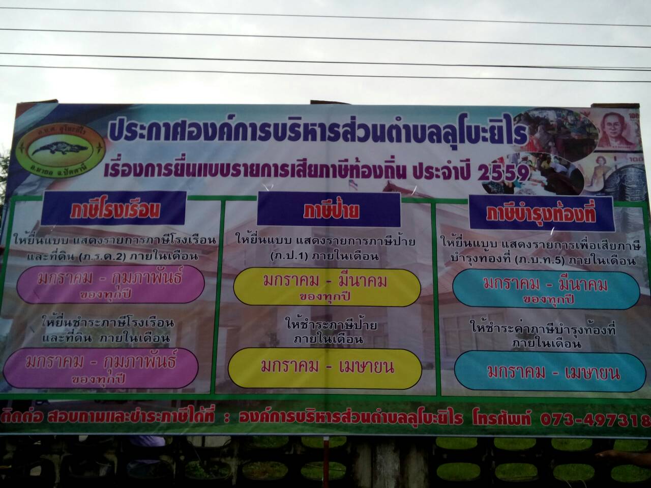 เรื่องการยื่นแบบรายการเสียภาษีท้องถิ่น ประจำปี 2559